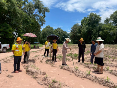 ว่าที่ร้อยตรีสุระศักดิ์ บุญชาญ สหกรณ์จังหวัดอุดรธานี ... พารามิเตอร์รูปภาพ 1